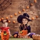 thumbnail image 4 of Xihbxyly Bolsa de Dulces de Halloween, Diseño de Calabaza, Bolsa Portátil para Bocadillos, Almacenamiento Ligero y Práctico, Decoración Festiva, Perfecta para Fiestas de Halloween, Tamaño 18 X 16 Cm, 4 of 6