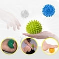 thumbnail image 4 of Lightahead Red Lacrosse and Green Spiky Massage Ball Set for Myofascial Release and Trigger Point Therapy, 2 pack, 4 of 4