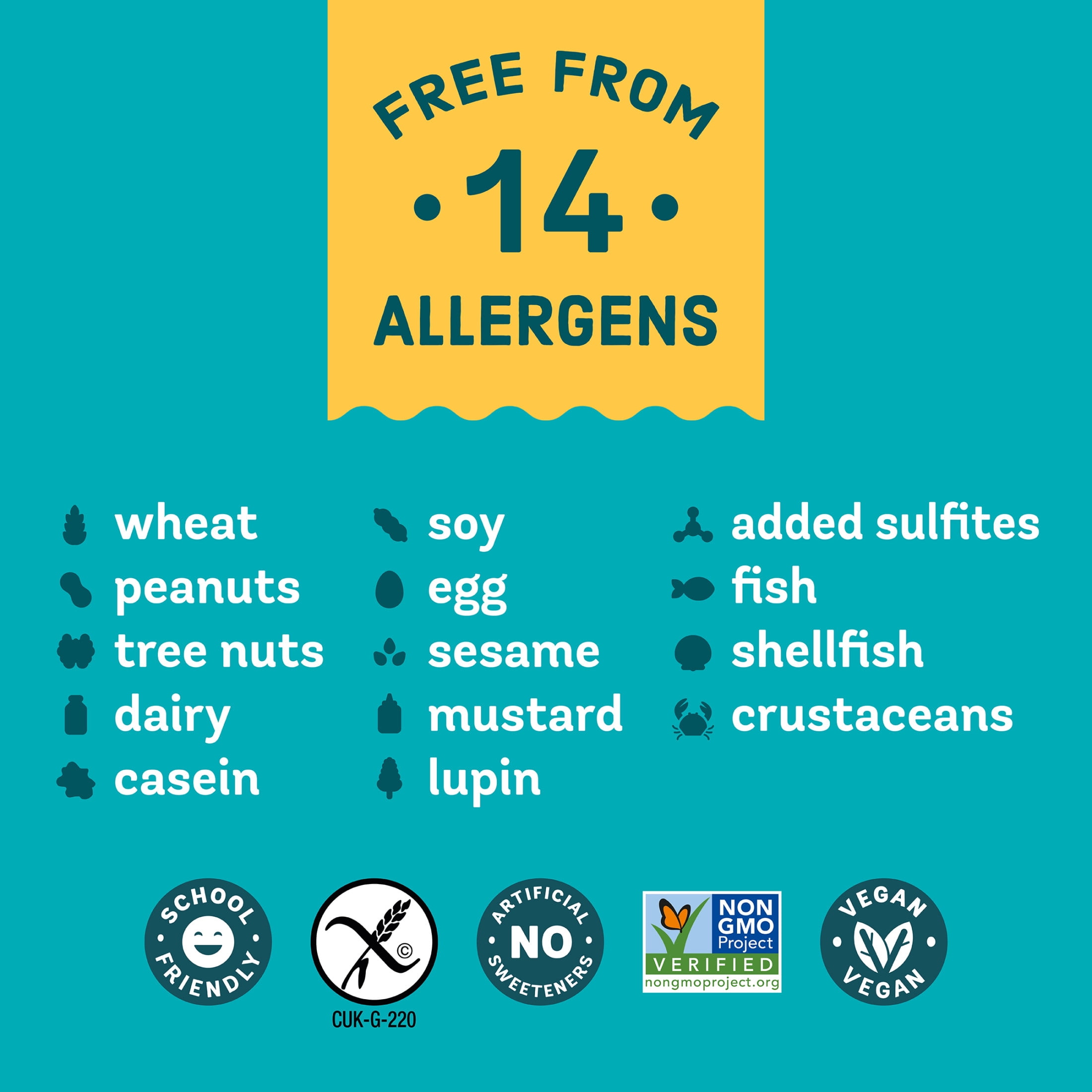 Enjoy Life Allergy Friendly, Dairy Free Dark Chocolate Morsels, Baking Chocolate, 9 oz