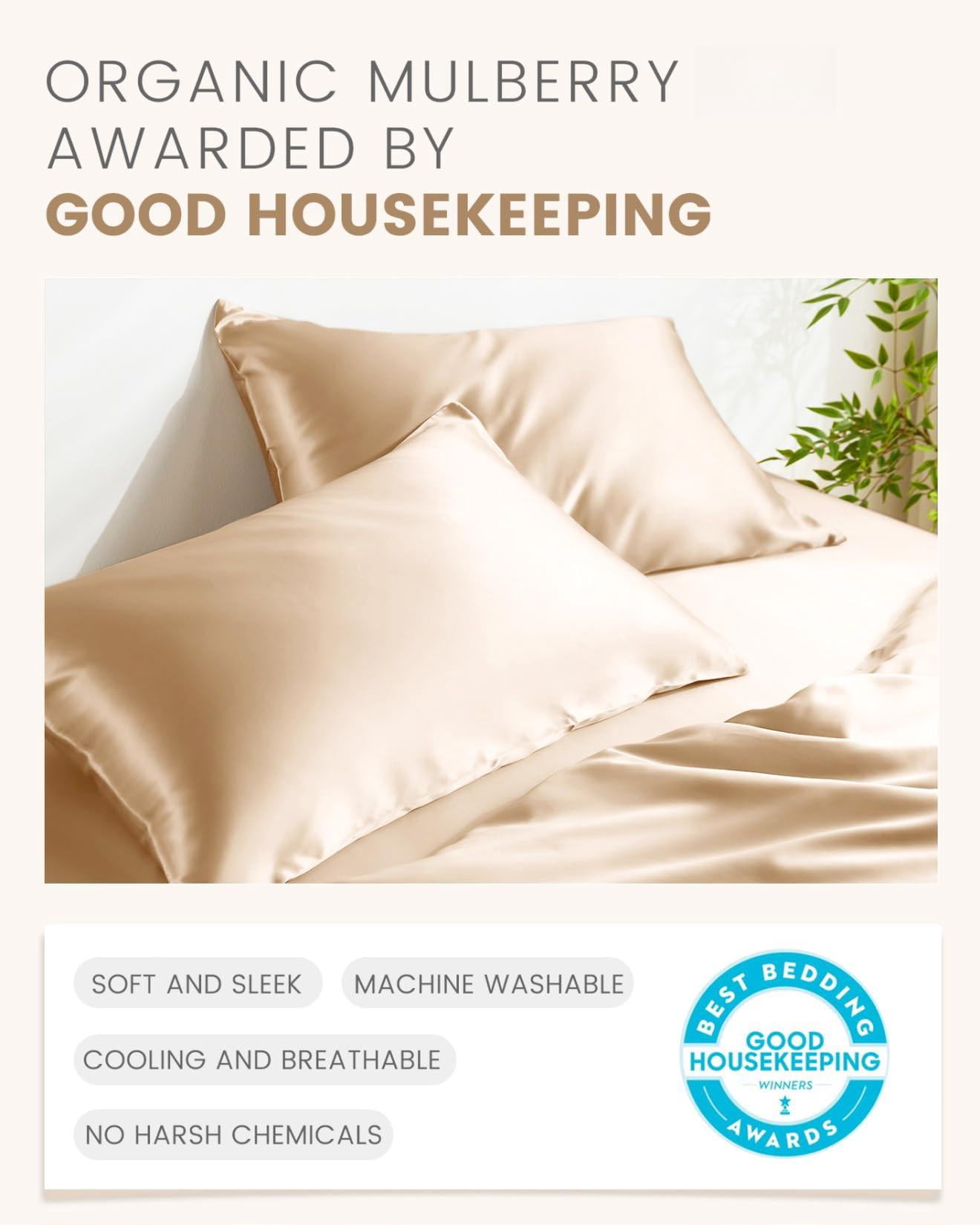 Mulberry Silk Pillowcase For Hair And Skin  Soft Smooth With Zipper Both Sides Grade 6a+ (standard 20"x26" Beige)