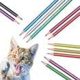 thumbnail image 6 of 12Pcs Colored Pencil Set Metallic Fluorescent Professional Coloring Pencil Art Sketch Graffiti Painting Colored Pencils for Adults Kids[Neon Color Pencils ], 6 of 9