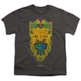 thumbnail image 2 of Fantastic Beasts The Secrets Of Dumbledore Brazil Ministry Flag Kids T Shirt (Medium) for Youth Toddler Boys and Girls, Charcoal, 2 of 5