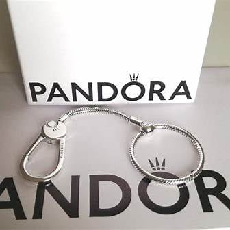Pandora Moments Sterling Silver Snake Chain Medium Bag Charm