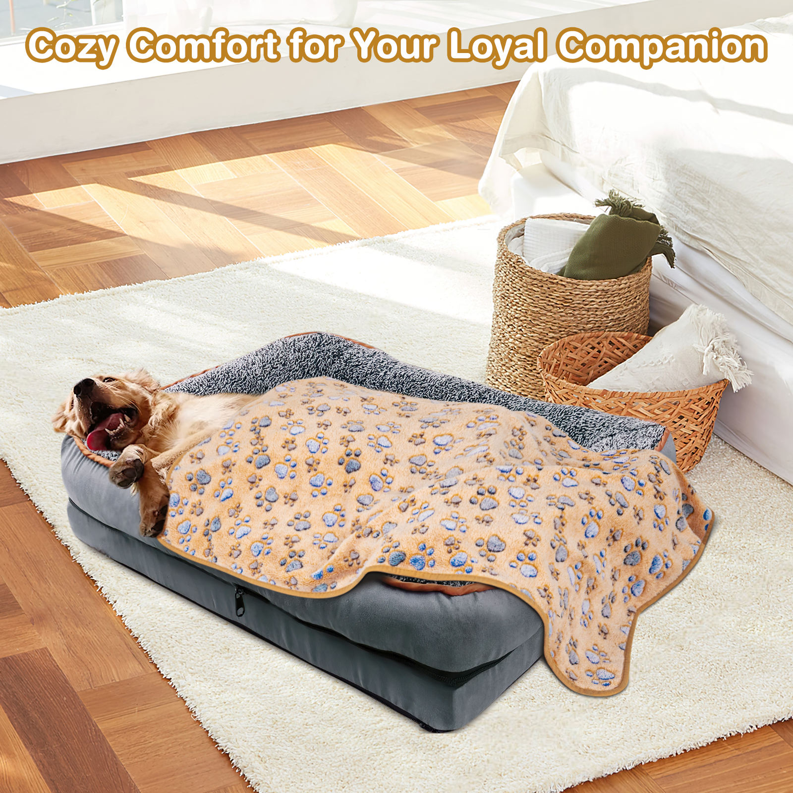 Cshidworld Orthopedic Dog Sofa Bed, Large 30x20 Inch photo 5