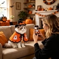 thumbnail image 5 of Halloween Cat Witch with Adjustable Cloak, Black and Purple Wizard Cape with Pumpkin Ornament and Hat for Medium Large Cats, Pet Apparel and Accessories, 5 of 5