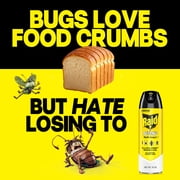 Raid Defense System Insect Killer, Indoor and Outdoor Home Defense Bug Spray for Ants, Roaches, Spiders and Flies, 15 oz