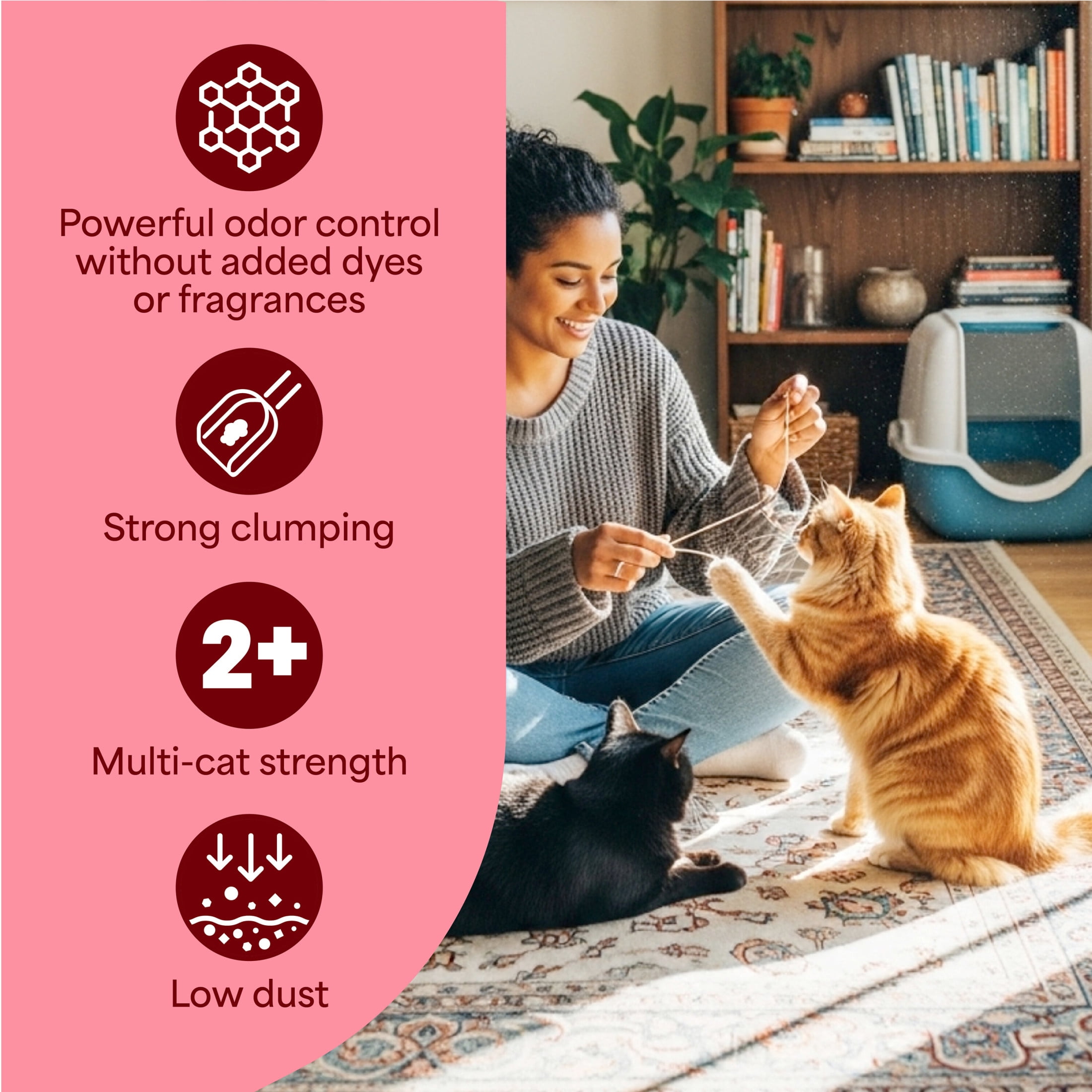 (2 pack) Fresh Step Simply Multi-Cat Clumping Cat Litter, Unscented, 38 lb, Easy Pour Pouches (4 Pack)