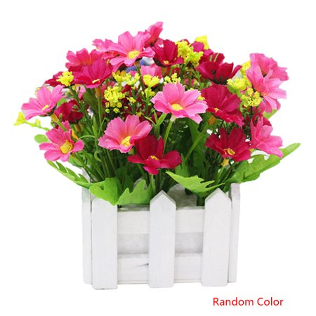 potted chrysanthemum