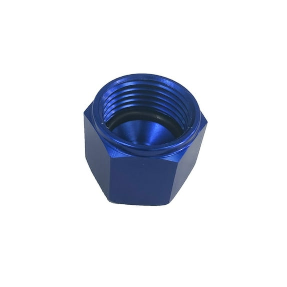 -8AN Fitting male Cap block off nut Blue