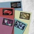 thumbnail image 2 of Life Magnified USPS Forever Postage Stamp 1 Sheet of 20 US First Class Birthday Announcement Life Earth Science Anniversary Wedding Celebrate (20 Stamps), 2 of 3