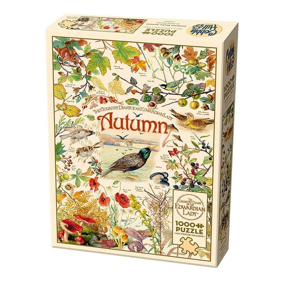 Country Diary: Autumn