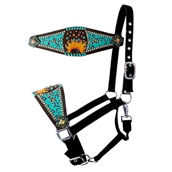 Showman Bronc Halter w/ Painted Tooled Sunflower & Teal Filigree Inlay
