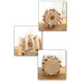 thumbnail image 4 of Jarrón de madera redondo nórdico para decoración Terrario de plantas hecho a mano Mesa Jarrón transparente Contenedores de vidrio, 4 of 5