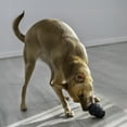 thumbnail image 3 of KONG® Classic Rubber Extreme Dog Toy for Power Chewers, Small, for Dogs Up to 20 lbs, 3 of 12
