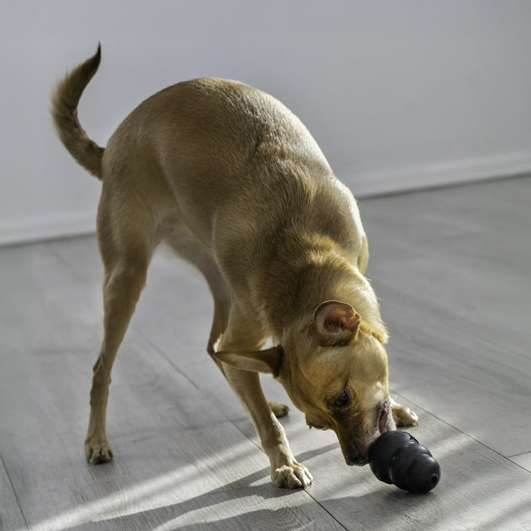 KONG Classic Rubber Extreme Dog Toy for Power Chewers, Small, for Dogs Up  to 20 lbs