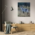 thumbnail image 3 of Dana Underdahl 28x34 Gallery Wrapped Canvas Wall Art Titled - Waterbuck I, 3 of 4