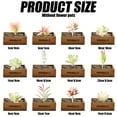 thumbnail image 2 of 12 Uds flocado Serie Blanca cabezas de flores suculentas suministros creativos DIY flores de plástico plantas verdes artificiales, 2 of 5