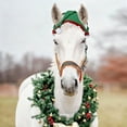 thumbnail image 4 of Chapeau en Fourrure Cheval Festif pour Performance Saisons et Événements Extérieurs, 4 of 5