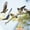L, variant on EUDIDV Suet Bird Feeder Hummingbird's Lair Hanging Tree Hummingbird Warm Lair Outdoor Courtyard Resin Decoration Bird Feeding Device Avian Feast Station
