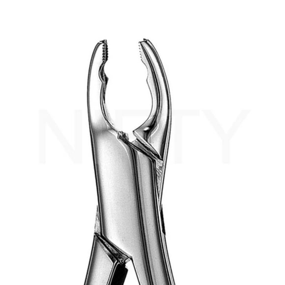 Extraction Forcep Pattern Anglais Pedo Upper &amp; Lower 150XAS