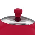 thumbnail image 5 of Swan Retro Bouilloire Dôme 1.7L SK34020RN, 5 of 5