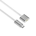 thumbnail image 2 of Magnetic Charging Cable for Laifen LFTB01-P Electric Toothbrush Feature Type C and USB A Input Enjoy Fast Charging, 2 of 11