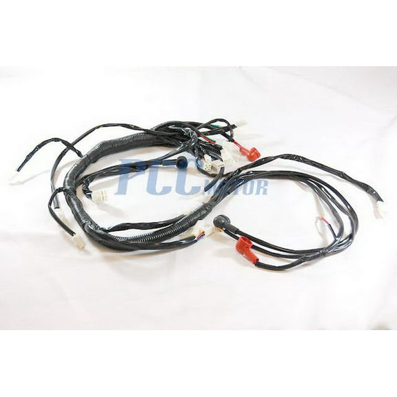 WIRE HARNESS CHINESE ATV QUAD 150CC 200CC COOLSTER 3150DX-2 MODEL ONLY WH09