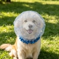 thumbnail image 4 of Mesh Eating Cover for Pet Head, Anti-Scavenging Eating Cover for Small Dogs Cats, Breathable Elastic Hood Barrier, Suitable for Outdoor Walk Protection, 4 of 5