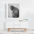 thumbnail image 2 of Snow Monkey - Photography Black and White Wildlife Animal Nature Portrait Minimalist Moody White Framed Wall Art Print 11 x 14 inches, 2 of 3