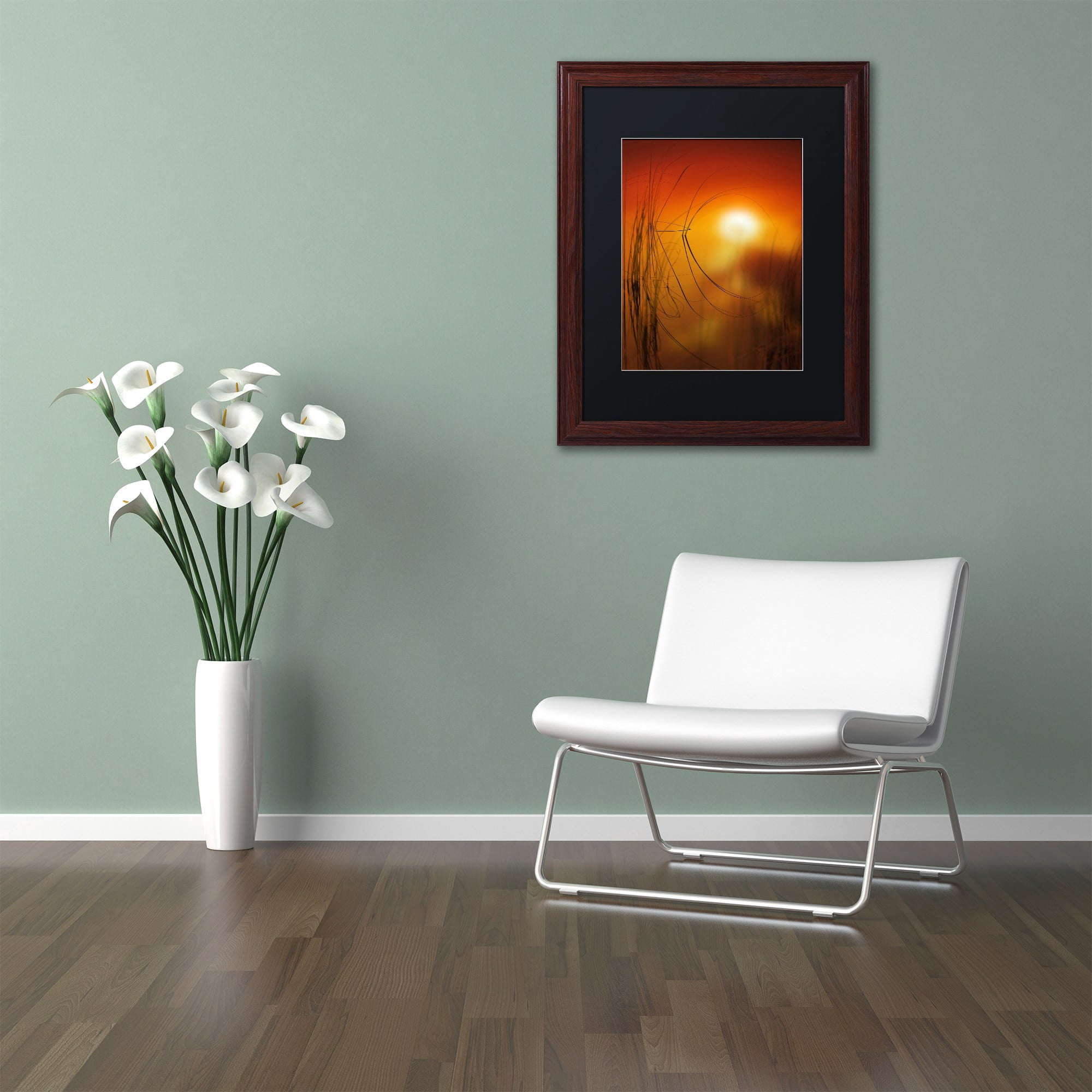 Trademark Fine Art "Nature Time Machine" Canvas Art by Philippe Sainte-Laudy Black Matte, Wood Frame