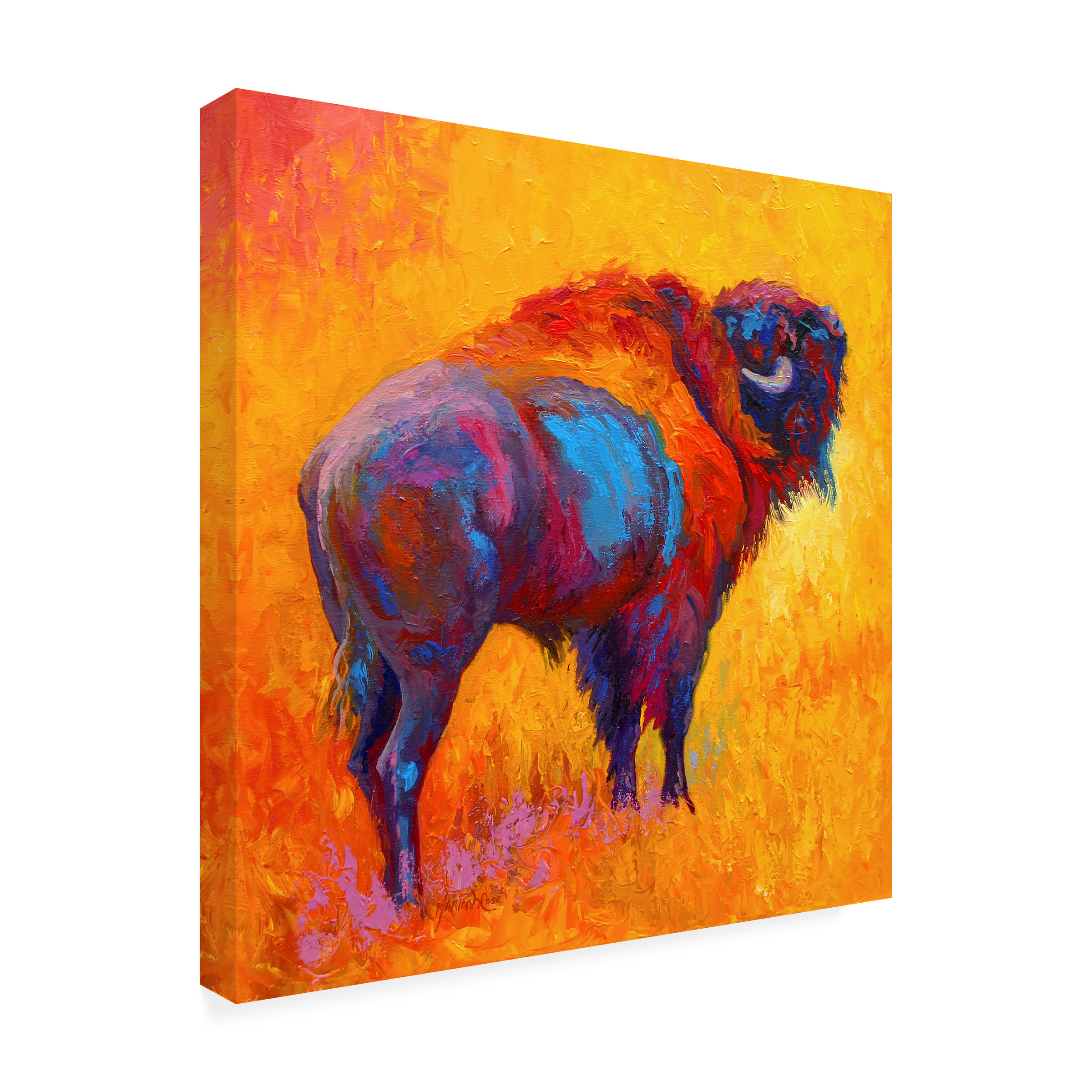 Marion Rose 'Something In The Air' Canvas Art