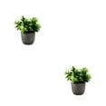 thumbnail image 1 of kurtrusly Realistic Artificial Succulent Low Maintenance Elegant Easy To Clean Artificial Money Tree In Pot new whitebabysbreath 2Set, 1 of 6