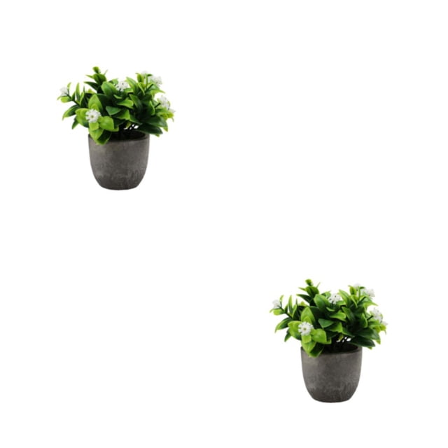kurtrusly Realistic Artificial Succulent Low Maintenance Elegant Easy To Clean Artificial Money Tree In Pot new whitebabysbreath 2Set