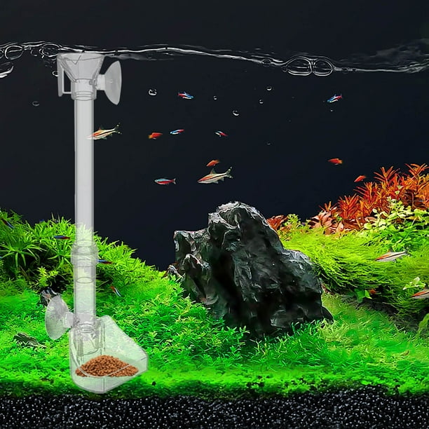 Comedero retráctil para peces con cepillo de limpieza | Altura ajustable y tubo acrílico transparente | Incluye ventosas para acuarios
