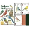 Backyard Birds Standard Poker Playing Card Deck featuring all of yoru favorite garden birds from Cardinal, to Owl and many more, Fantastic Standard Playing Card Deck.., By Heritage Playing Cards