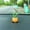 C, variant on Jilgteok Flowerpot Small Ornaments Desktop Cute Doll Car Center Console Resin Car Decoration