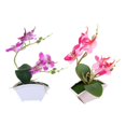 thumbnail image 1 of 2 piezas de s artificiales Bonsai falsas decoración de boda Púrpura + rosa Baoblaze Bonsai floral de orquídea sintética, 1 of 8