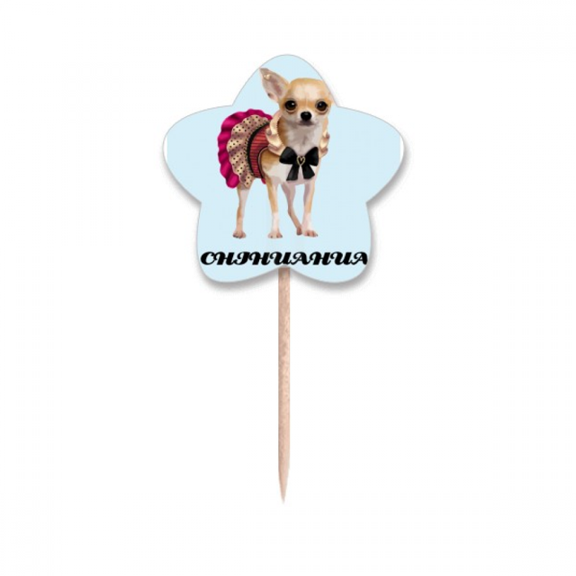 Chihuahua, ojos pequeños. Selección de pastelitos Star lable Flag en palillos de dientes
