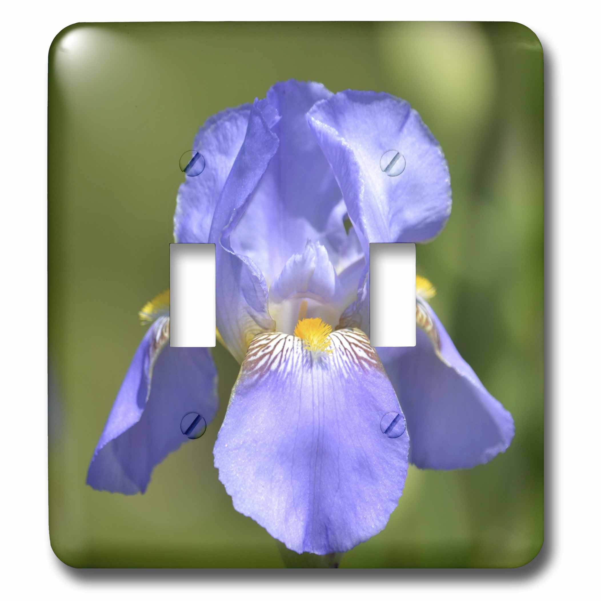 3dRose lsp_54453_6 Pretty Spring Iris Flower Floral Print Nature Photography 2 Plug Outlet Cover