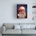 thumbnail image 3 of Meadowpaint 'Mr Mischief' Canvas Art, 3 of 3