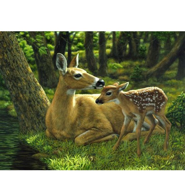 Cuadros Decorativos Cuadro de dibujo de taladro redondo completo 5D bosque ciervo diamante pintura habitación ornamento JShteea Nuevos Originales