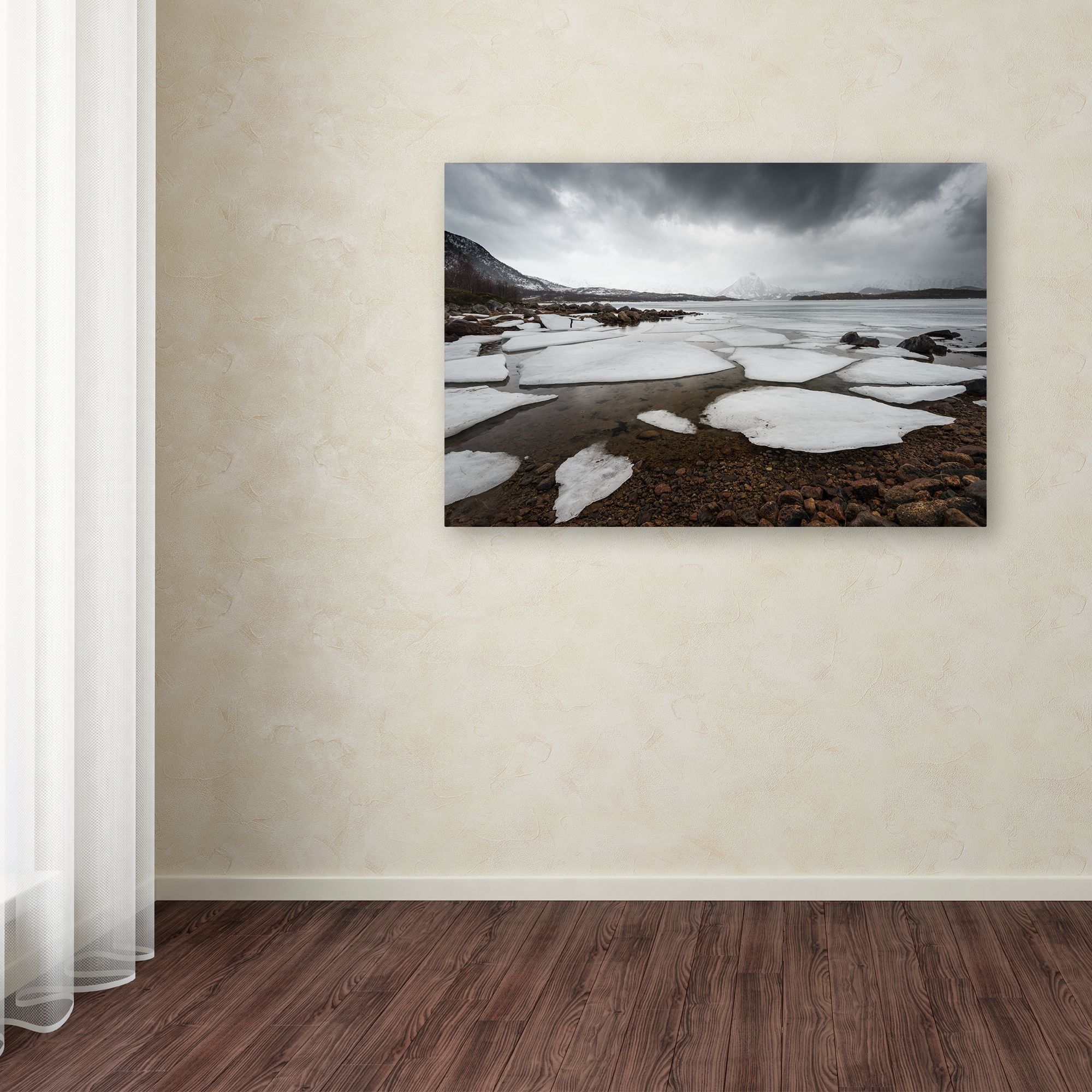 Trademark Fine Art "Wildest Dreams" Canvas Art by Philippe Sainte-Laudy