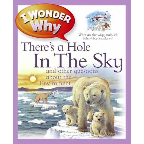 Pre-Owned I Wonder Why There's a Hole in the Sky: And Other Questions about the Environment (Hardcover) 0753467984 9780753467985