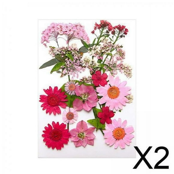 flores secas prensadas,flores secas prensadas hojas manualidades artesanales,resina vela fabricación de jabón arte de uñas flores secas,flores epoxi prensadas naturales kits de flores de