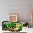 thumbnail image 3 of Yazoeia Reptile Terrarium - Reptile Breeding Box, Transparent Feeding Terrarium | Acrylic Reptile Feeding Container, Lizard Aquarium Breeding Terrarium Habitat for Snake Turtle Frog Spider, 3 of 9