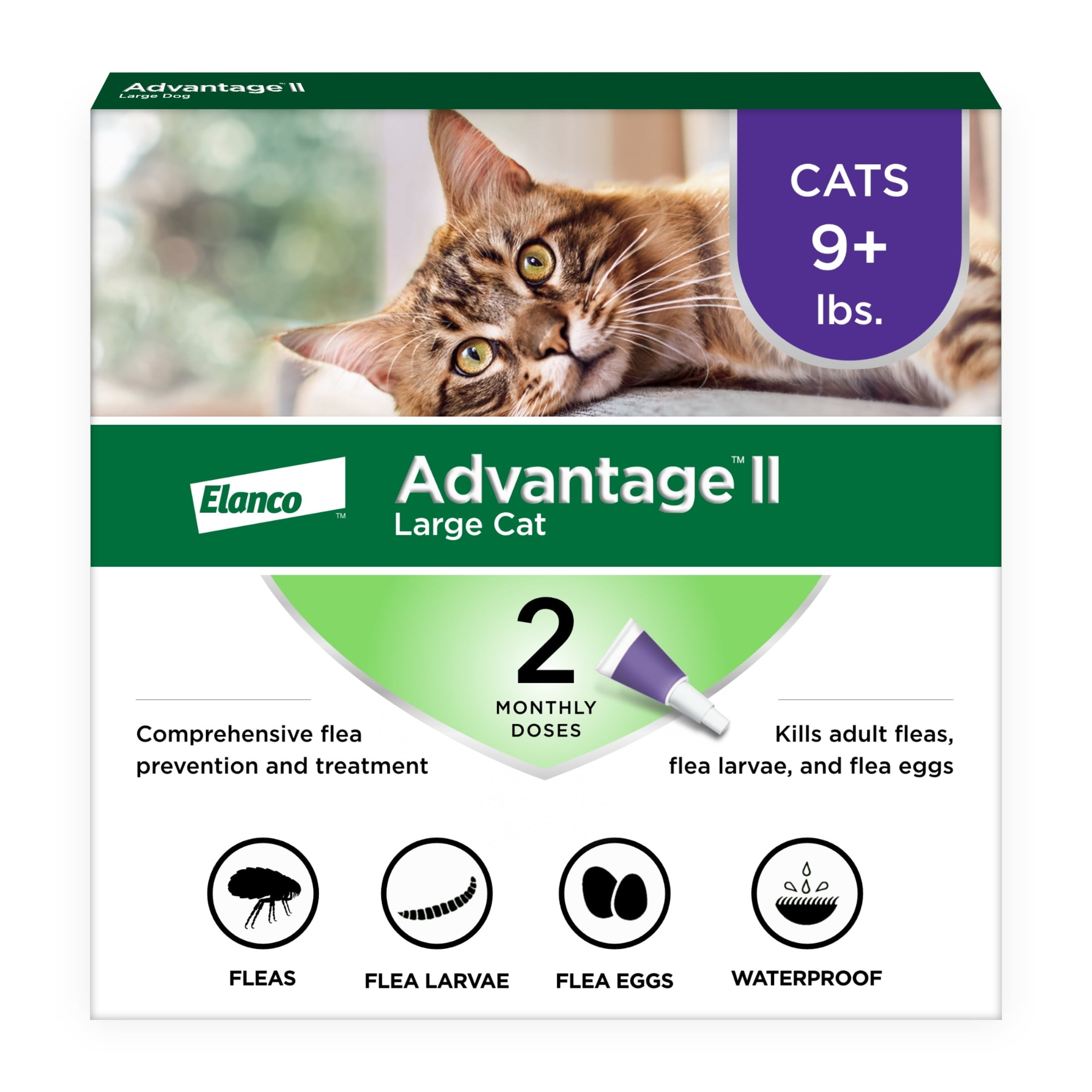 (4 pack) Advantage II Vet-Recommended Flea Prevention for Large Cats 9 lbs+, 2-Monthly Treatments
