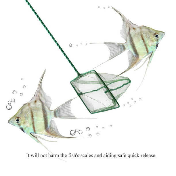 Aiding Safe Quick Release, Goldfish Net, Aquarium Fishing Net, For