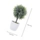 thumbnail image 5 of OULII Planta Artificial Con Maceta Para De Hogar Y Oficina Fácil De Mantener Y Duradera, 5 of 6