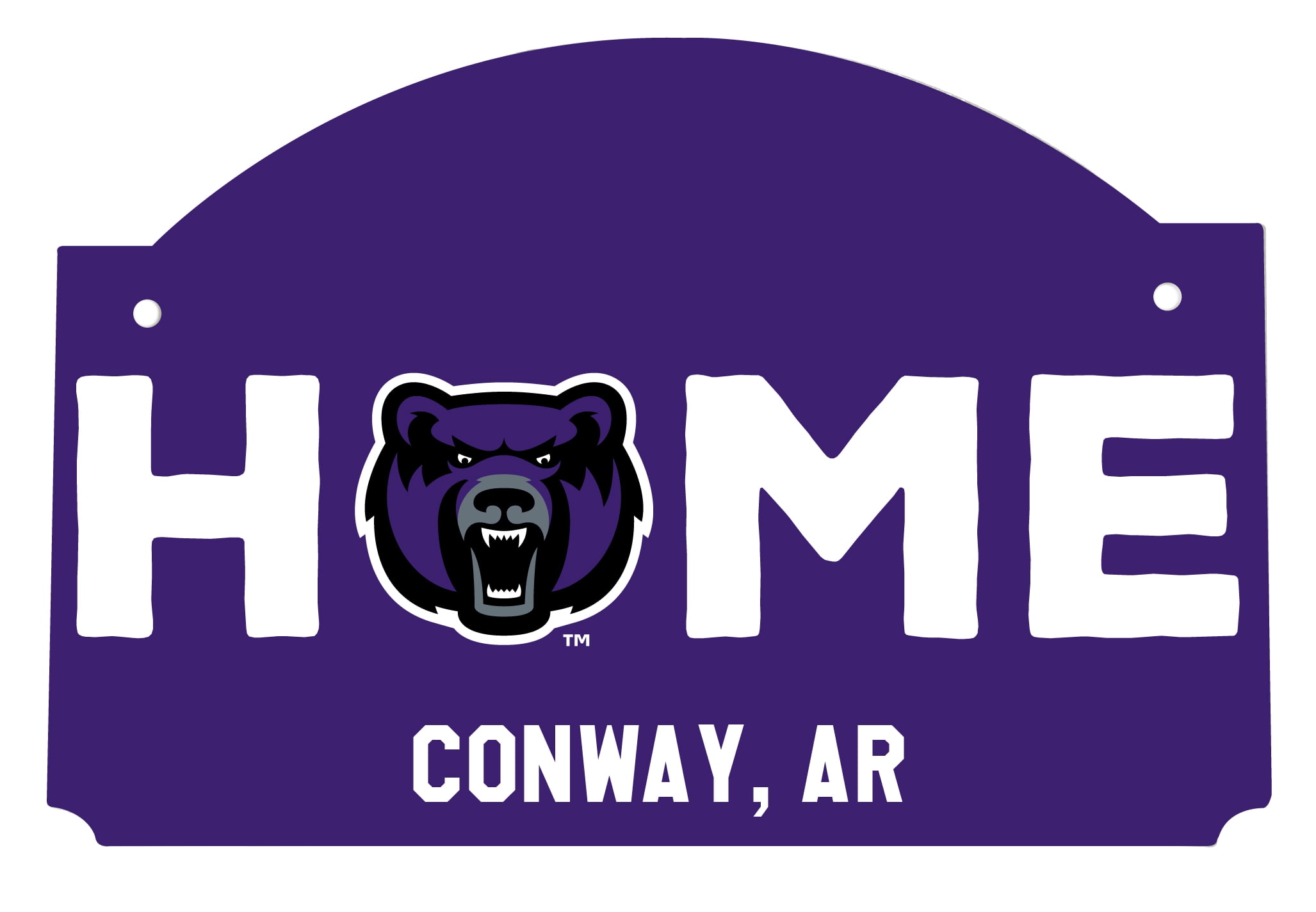 R and R Imports Central Arkansas Bears Wood Sign with Frame