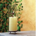 thumbnail image 3 of Candle by the Hour 80-Hour Candle with Glass Cylinder, 3 of 8